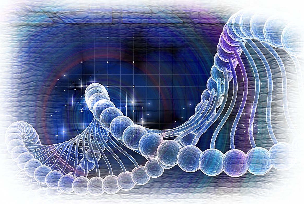 Активация хромосомы молодости - в ДНК